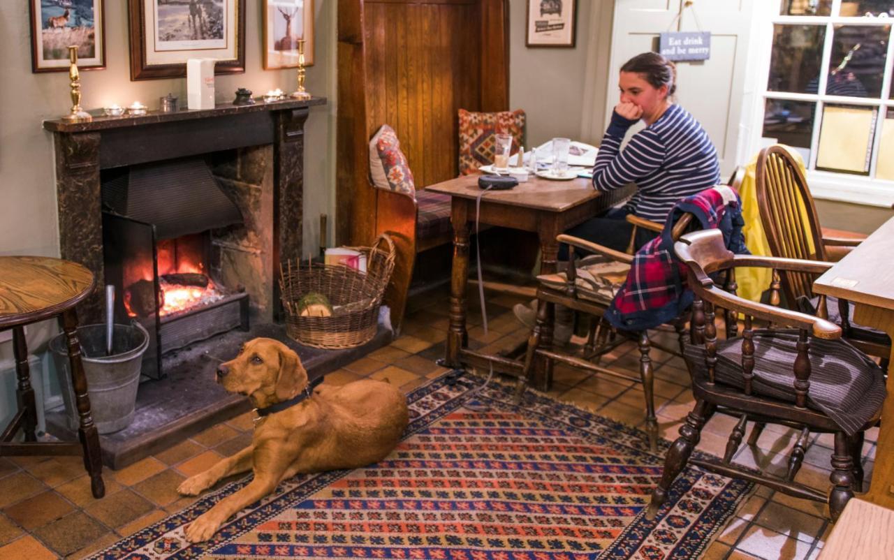 Luttrell Arms Hotell Dunster Exteriör bild